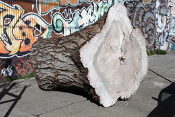 Urban_Log